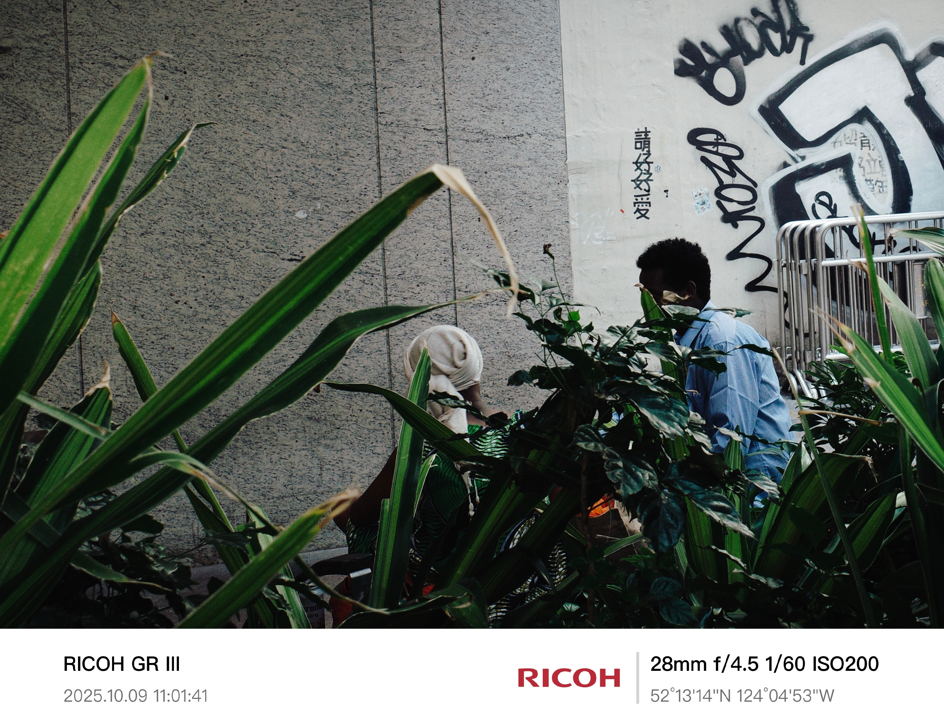 2025 - City in Motion - HK
《請好好愛》
拍摄于香港街头的一隅。
植物的缝隙中，两个人短暂地停留、交谈。
城市太喧嚣，他们选择在最不显眼的地方彼此听见。